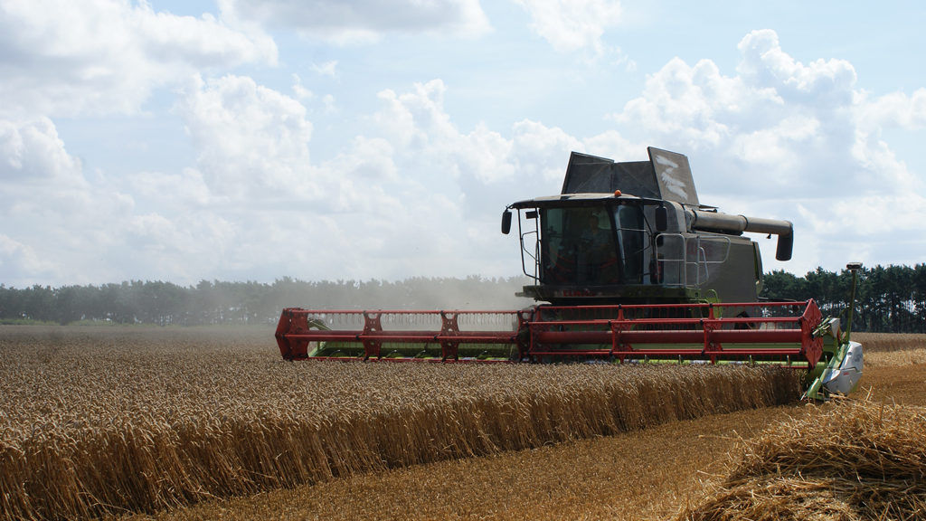 Tesco changing supplier relationships to innovate