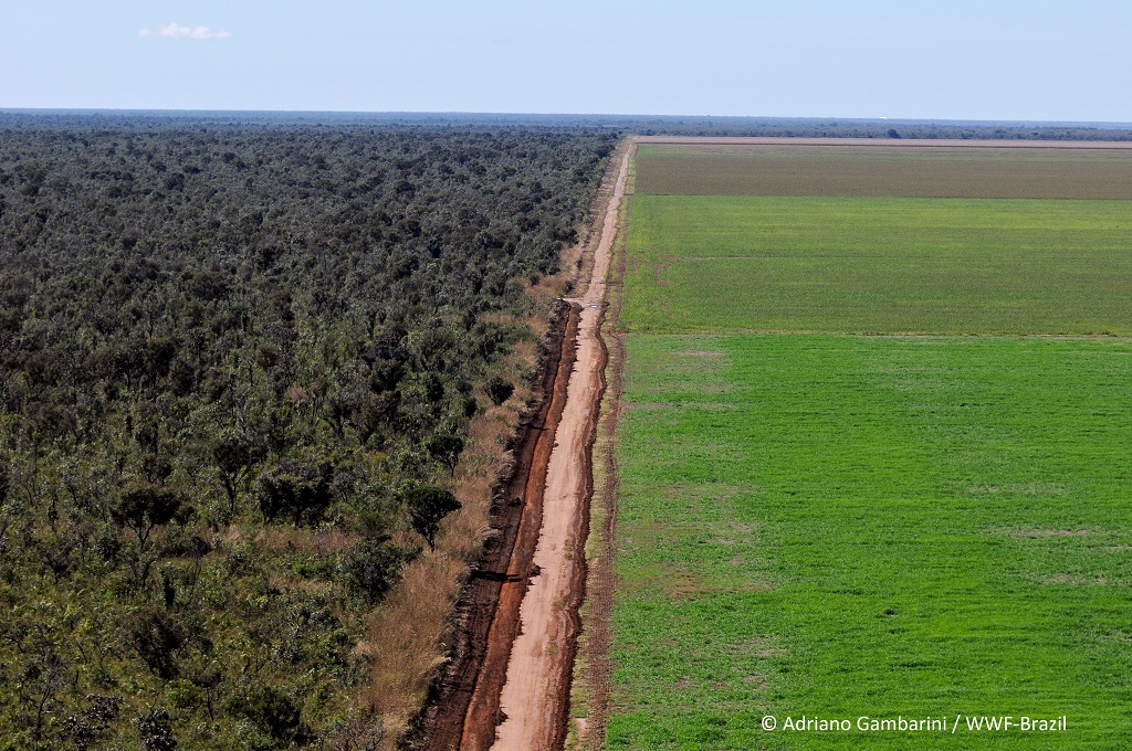 Deforestation in Brazil. Credit: Adriano Gambarini / WWF Brazil