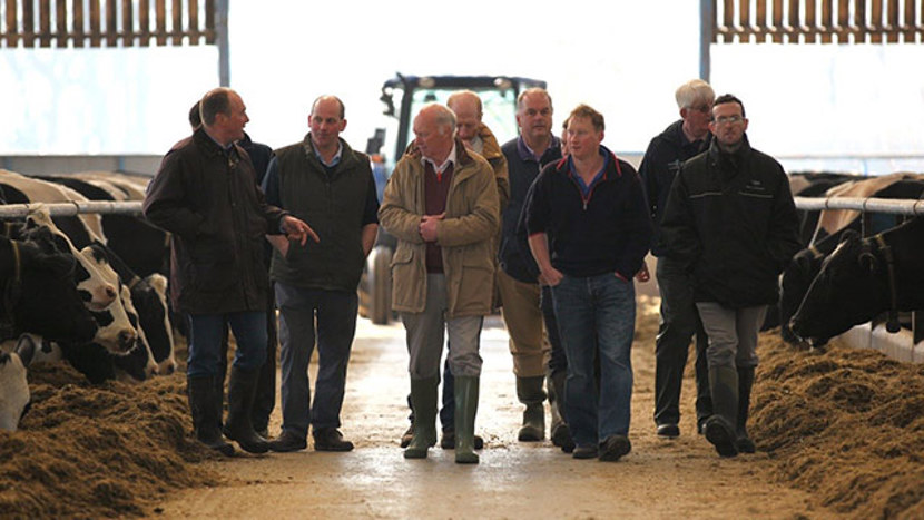 Cattle farmers