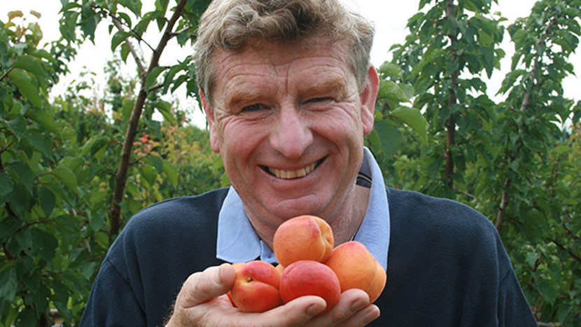 Peach farmer