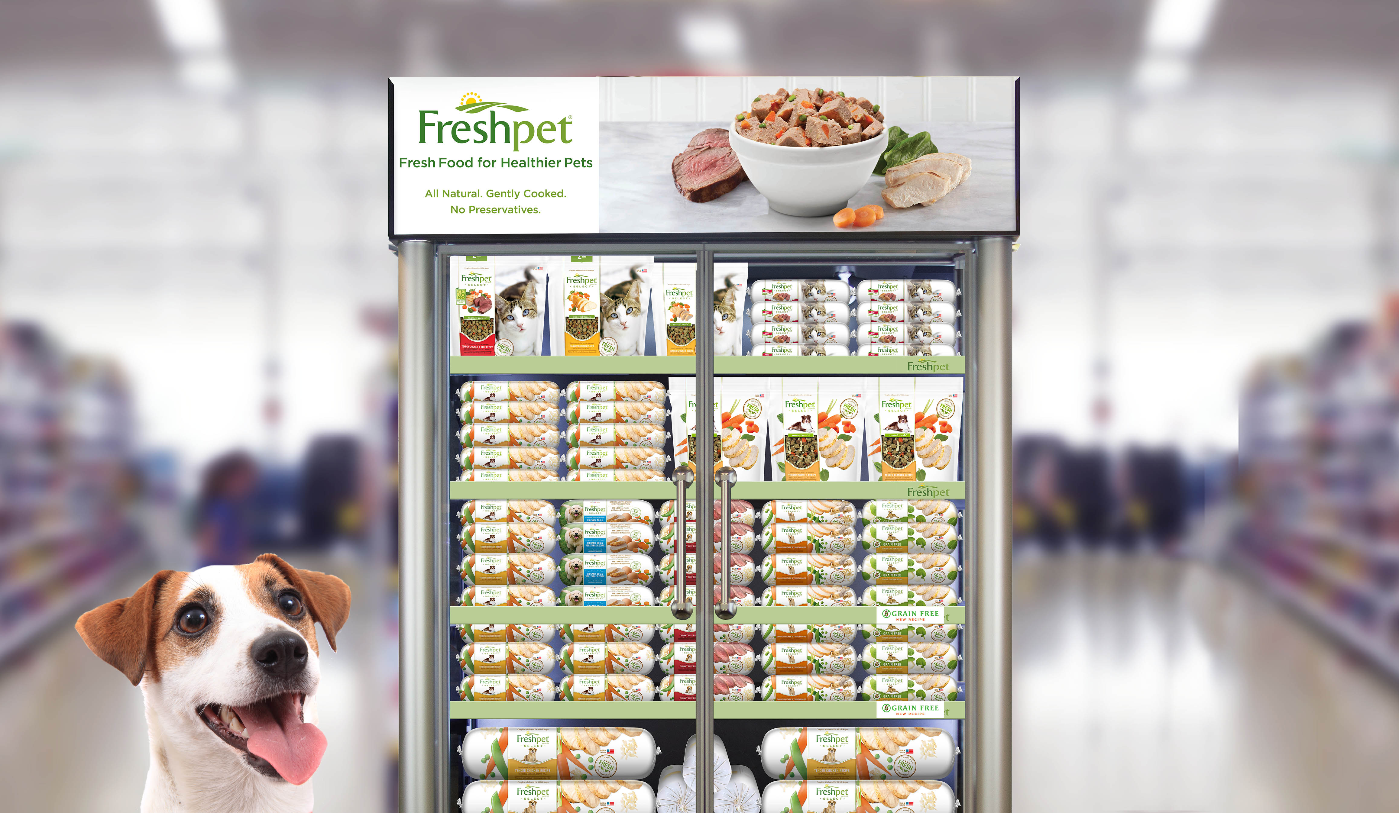 Пет фуд. Freshpet. Pet food Freshpet. Fresh Dog food.