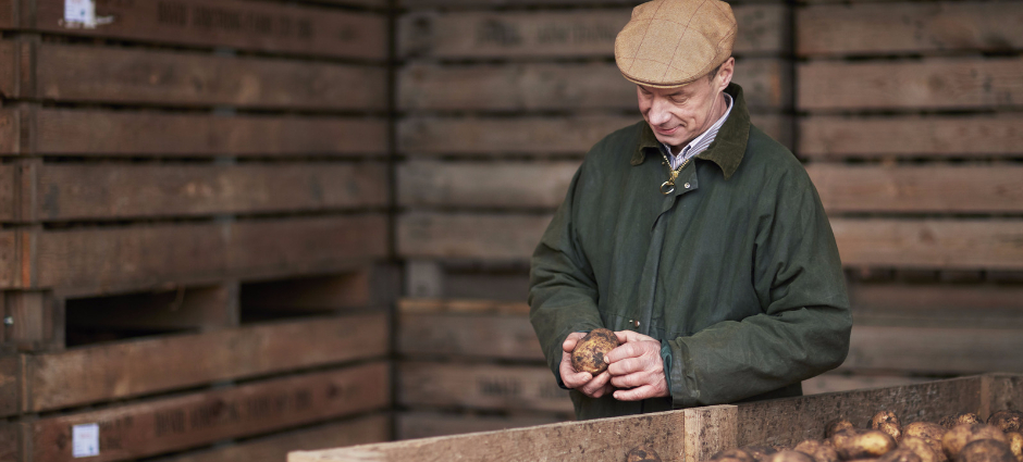 A farmer inspects his perfectly imperfect crop. Taken on by Tesco to reduce food waste