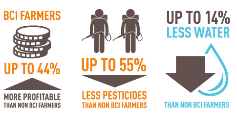 Mindful BCI infographic