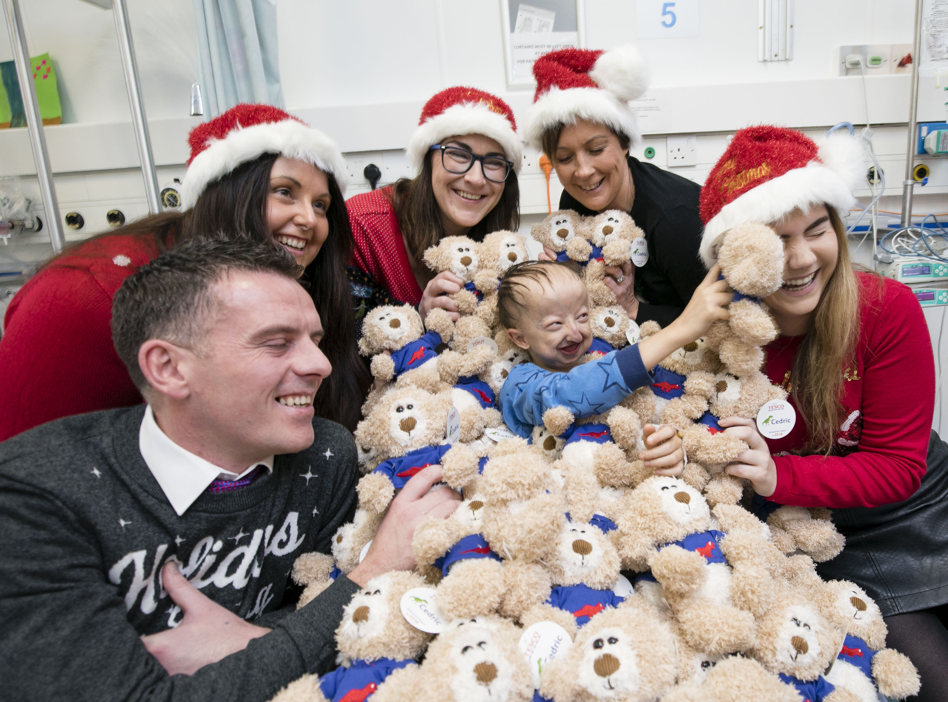 tesco teddy bear cedric to buy