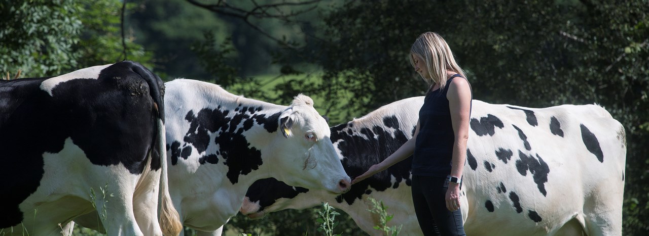 Tesco Sustainable Dairy Group