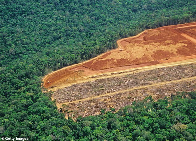 Tesco deforestation_can insects help save the planet_1
