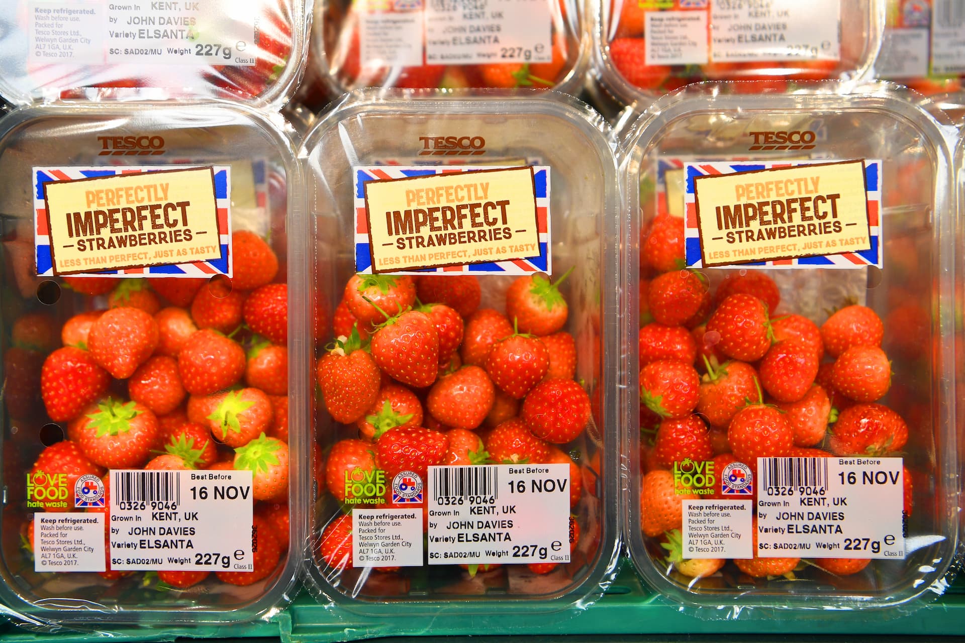 Food waste Tesco PLC