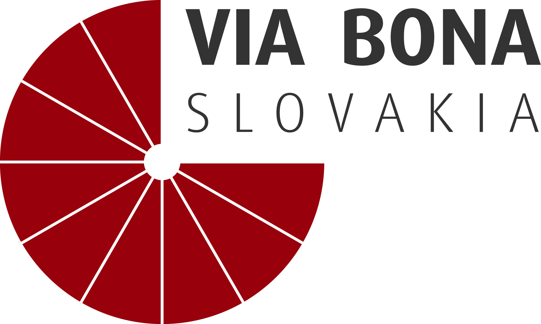 Viabona Logo