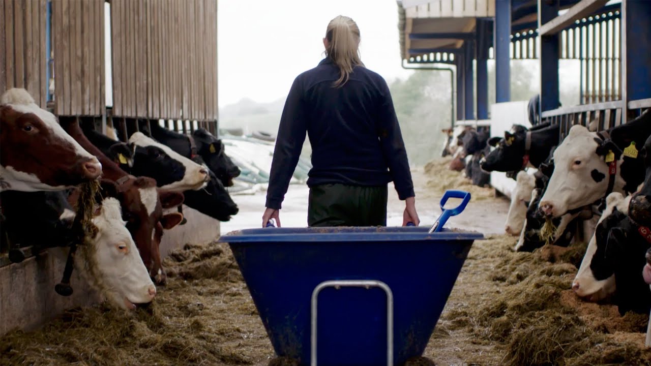 Tesco Sustainable Dairy Group