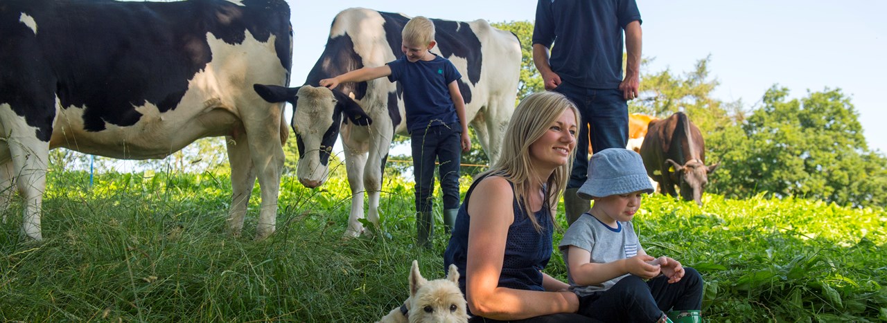 Tesco Sustainable Dairy Group