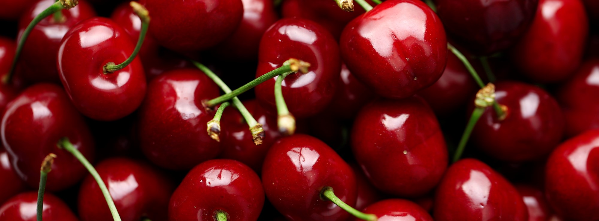 Tesco helps UK cherry farmers after crop flush
