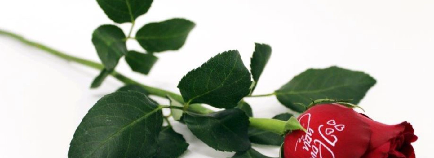 Imprinted roses with messages of love, means you can now really say it ...