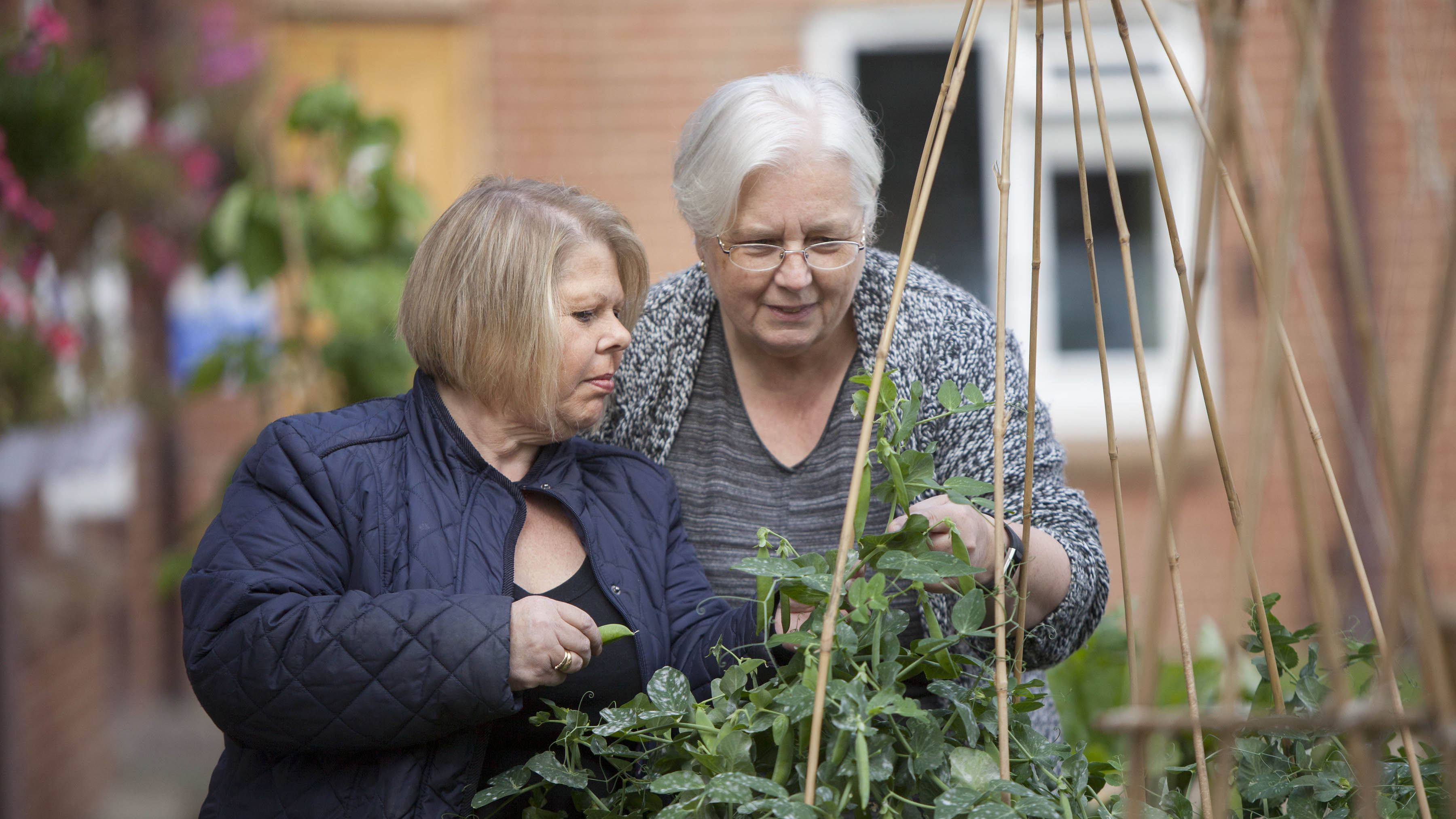 carrier bags of help money tesco