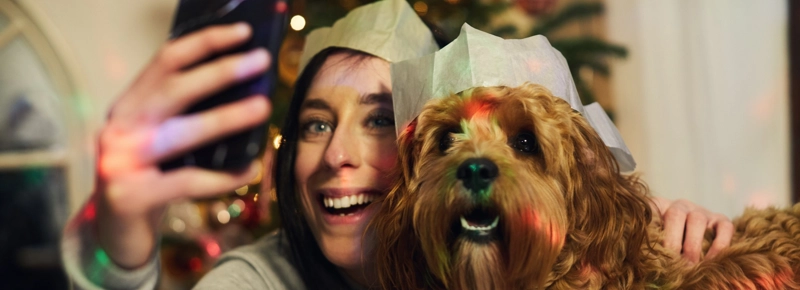 Everpet sales puppy pads