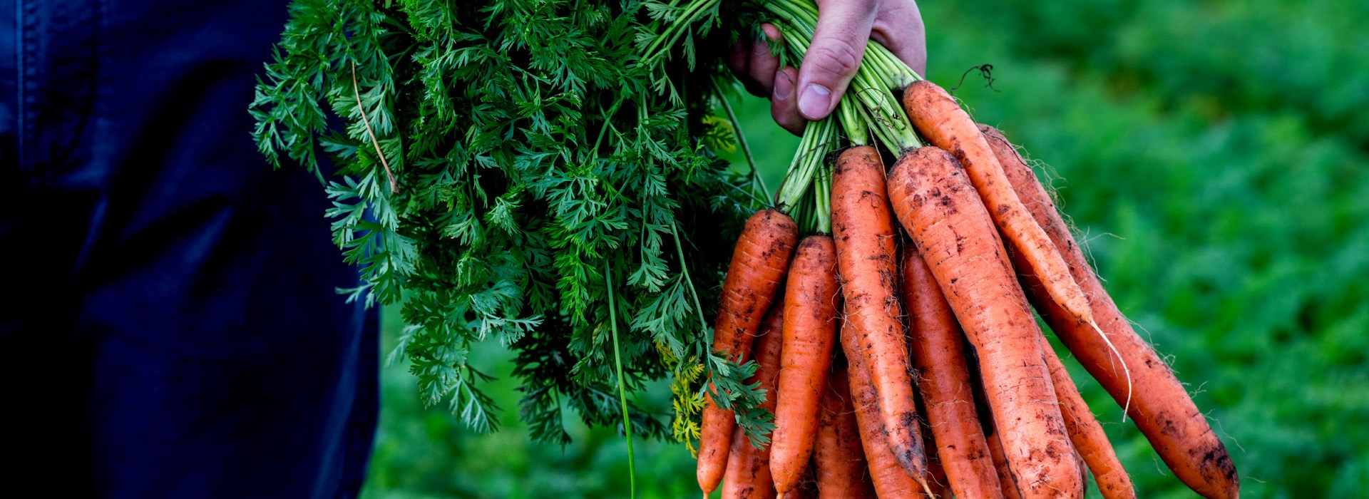 Tesco completes most significant rollout of environmental standards in