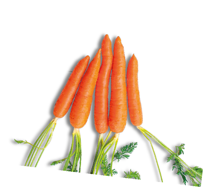 Carrots
