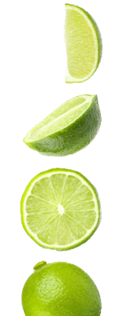 Fresh lime isolated on white, collage. Whole, halves and slices; Shutterstock ID 2498567611; purchase_order: -; Client/Licensee: -; Cost code: -; Employee: -